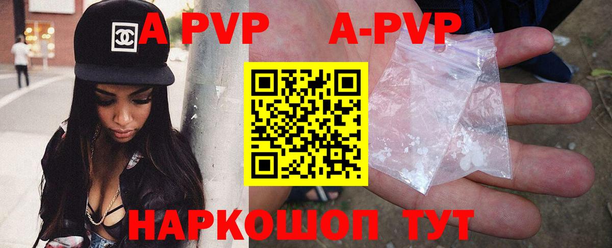 A-PVP СК КРИС Губаха